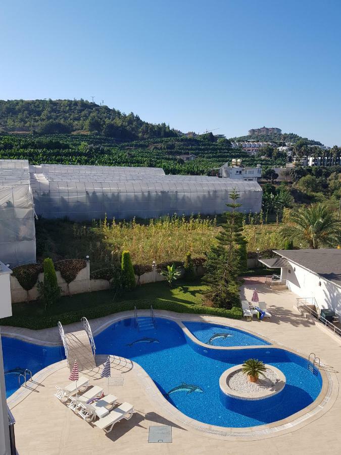 Mirabel A Alanya